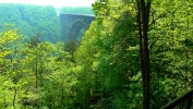 PICTURES/New River Gorge Scenic Drive/t_New River Gorge Bridge8.JPG